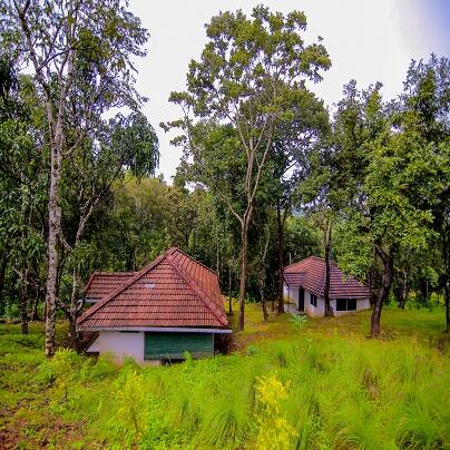 Aadhvana Homestay, Sakleshpur 2