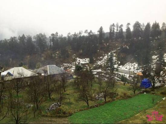 Hotel Lily Inn, Manali 3