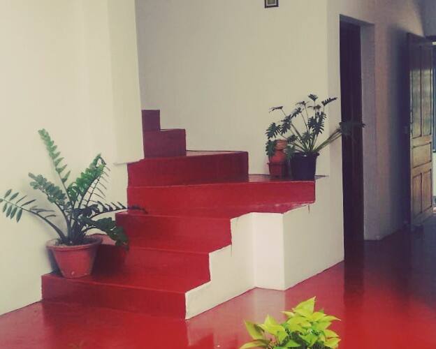 Snehadhara Homestay, Alleppey 2