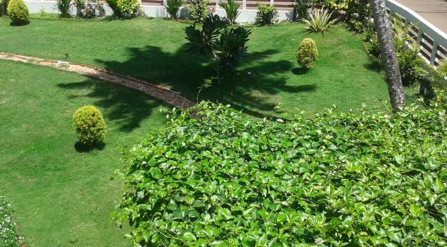 Appoos International Homestay, Thiruvalla 5