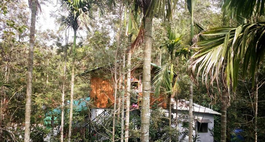 Sakleshpur Homestay, Sakleshpur 3