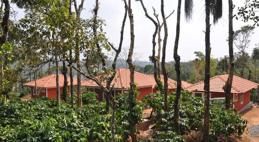 Balen Homestay, Sakleshpur 2