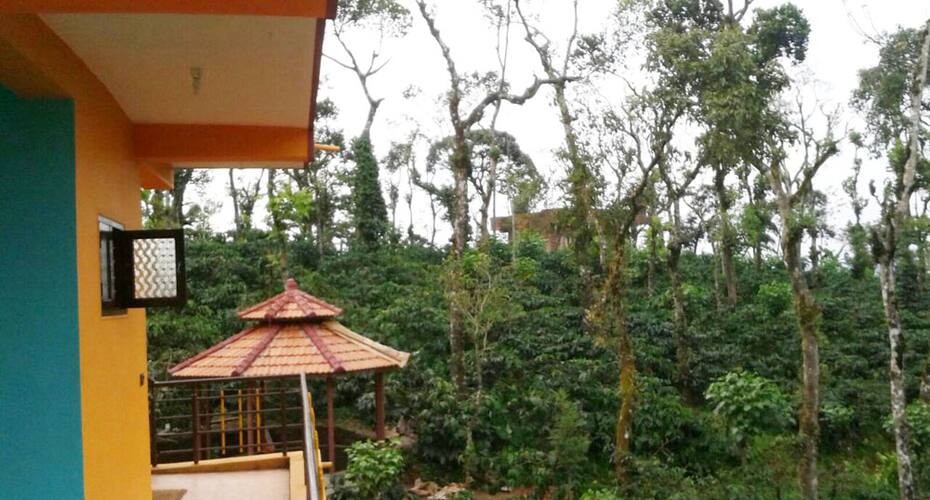 Grass Village, Sakleshpur 3