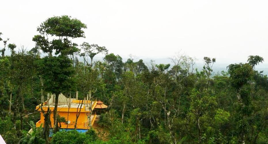 Grass Village, Sakleshpur 2