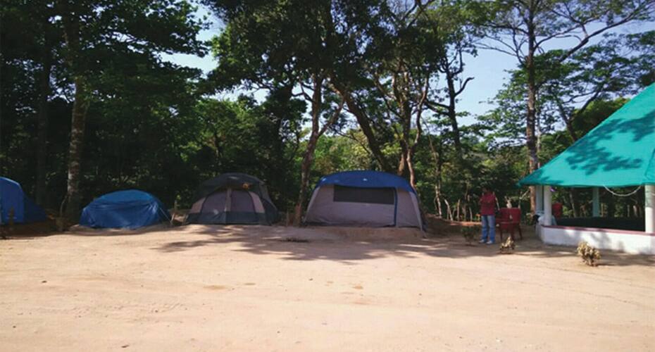 Nature Homestay, Sakleshpur 4