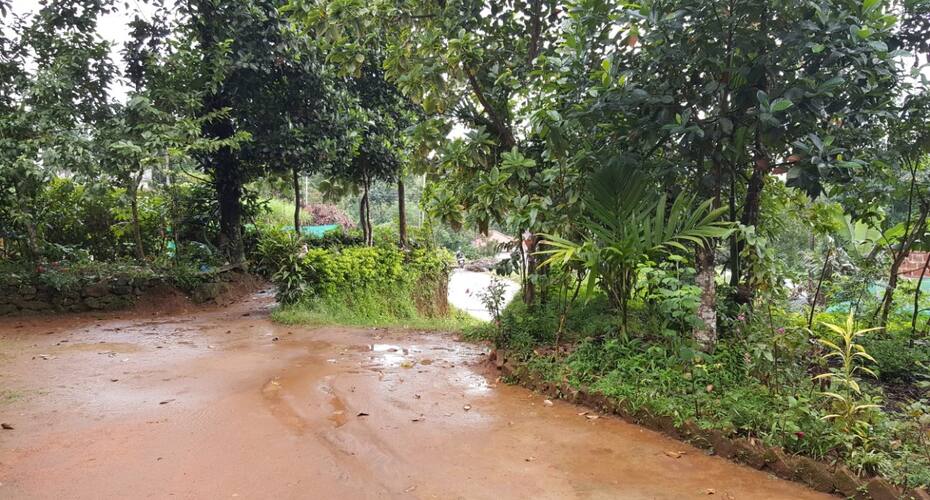 Wayanad Homestay, Wayanad 5