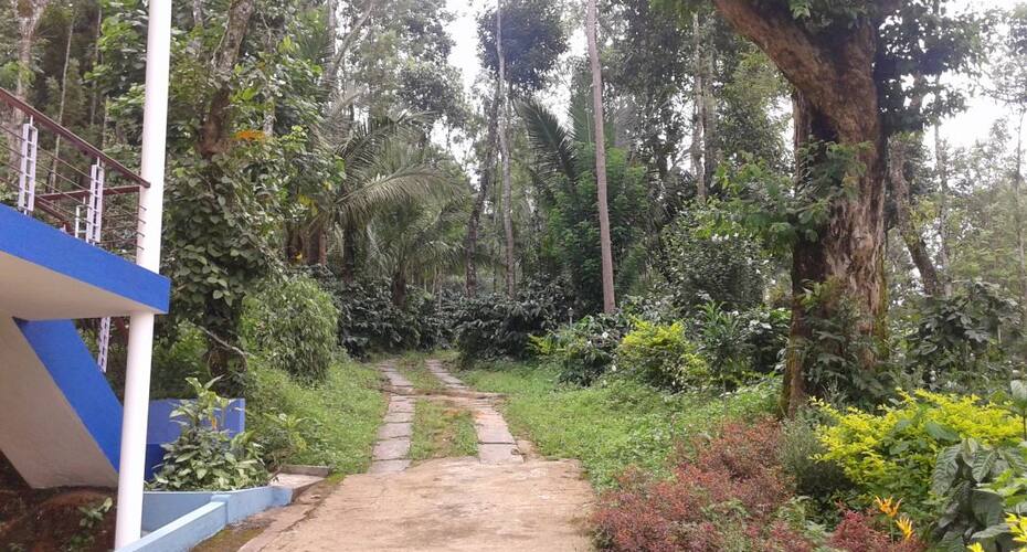 Discover Coorg Wild Oaks, Coorg 5