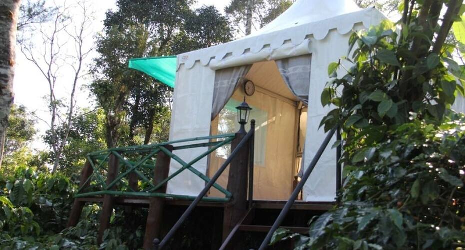 Discover Coorg Tent House, Coorg 1