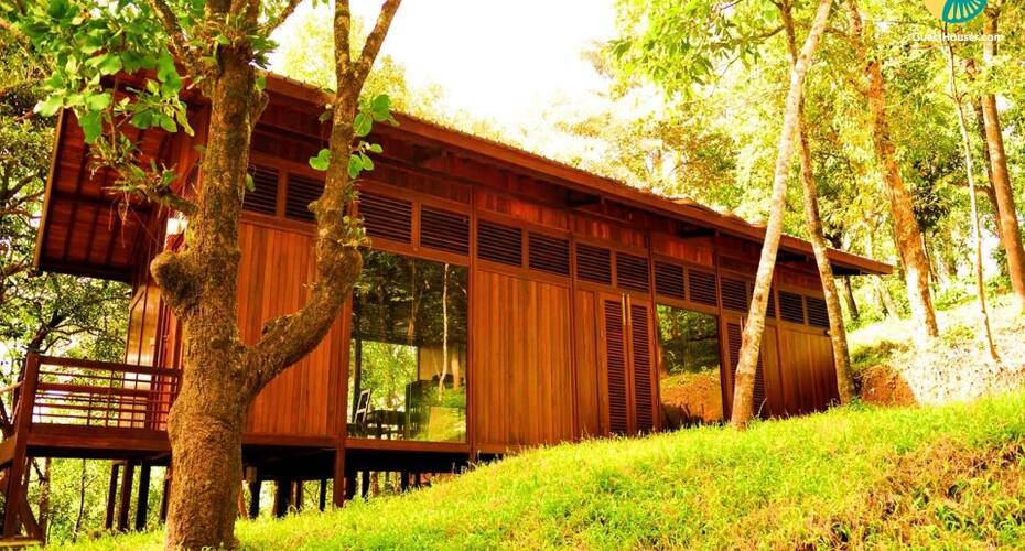 Cottage accommodation for three with verdant landscape, Madikeri 1
