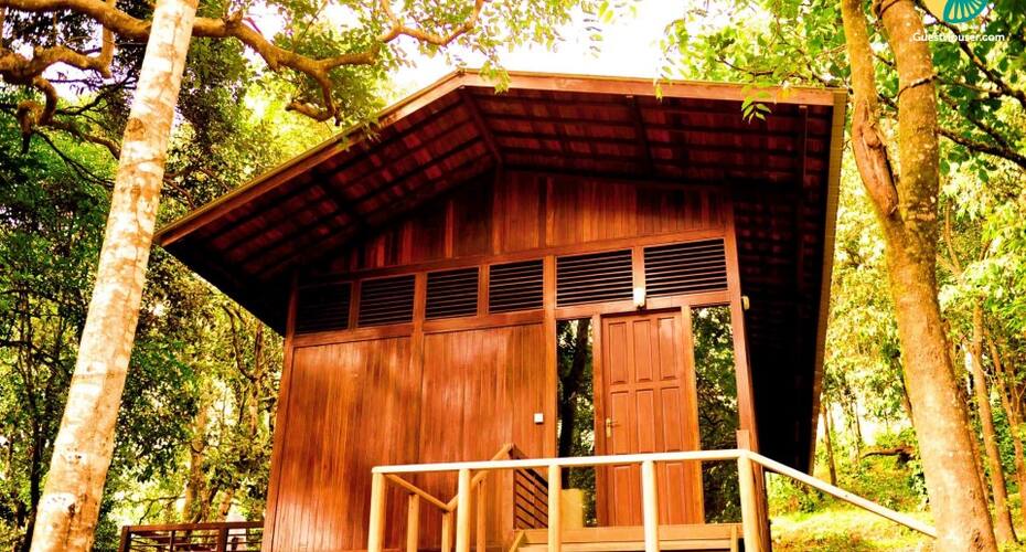 Cottage accommodation for three with verdant landscape, Madikeri 3