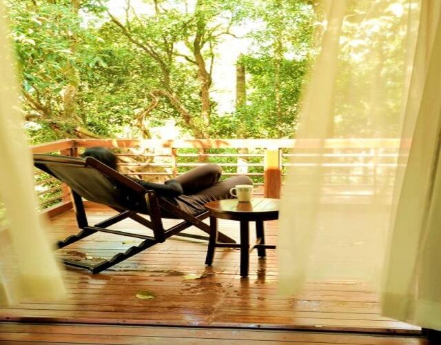 Cottage accommodation for three with verdant landscape, Madikeri 5