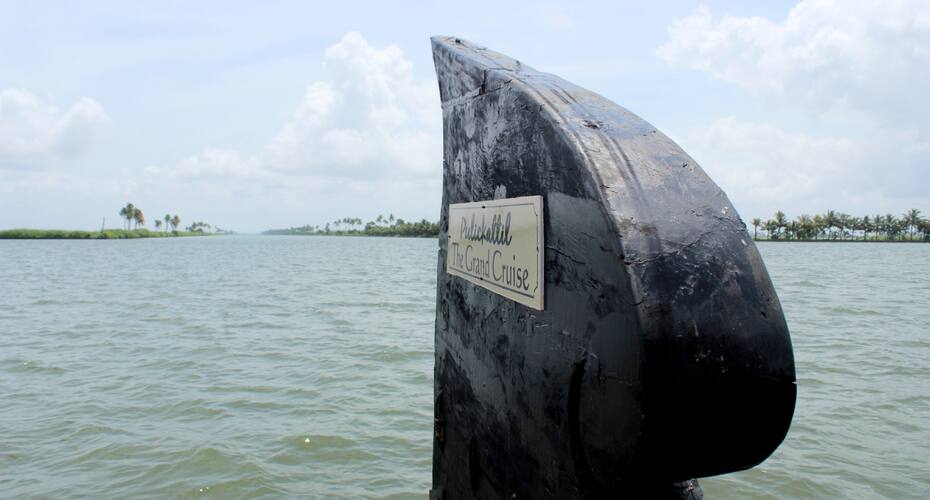 The Grand Day Cruise, Alleppey 3