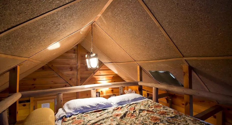 Mountain Quail Lodge, Nainital 5