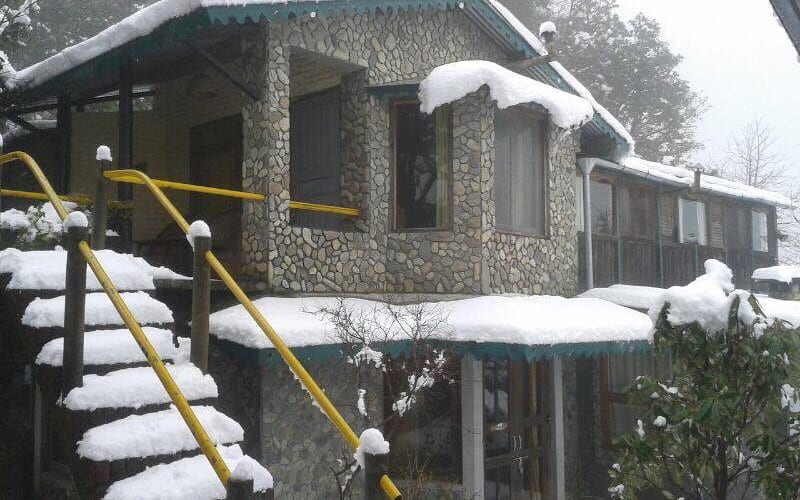 Mountain Quail Lodge, Nainital 4