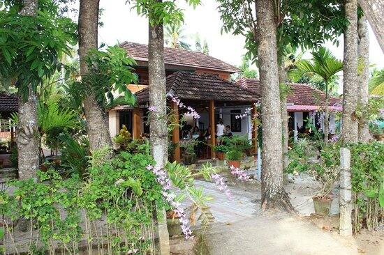 Riverside Retreat, Alleppey 3