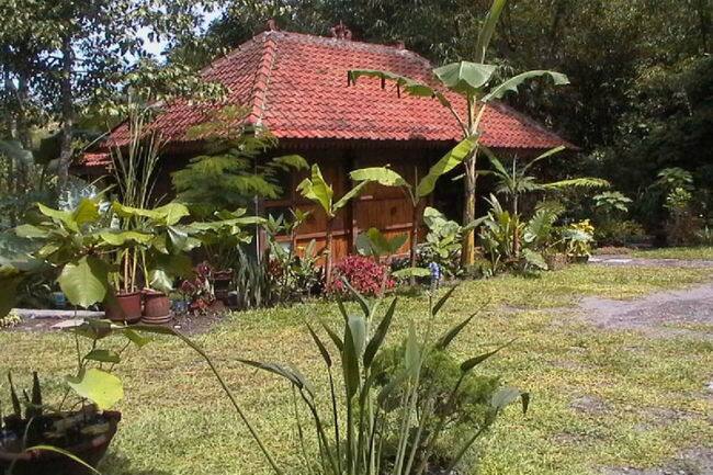 Riverside Retreat, Alleppey 2