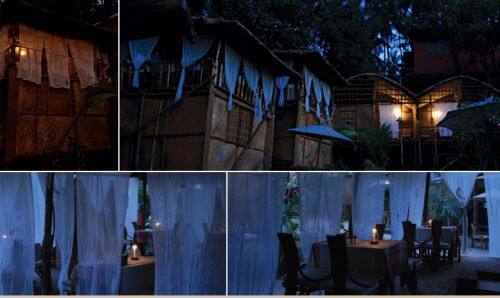 Fernandes Wooden Cottages, Goa 3