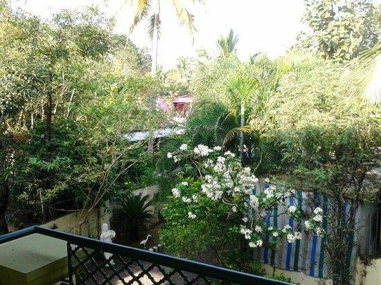 Lotus homestay, Alleppey 3