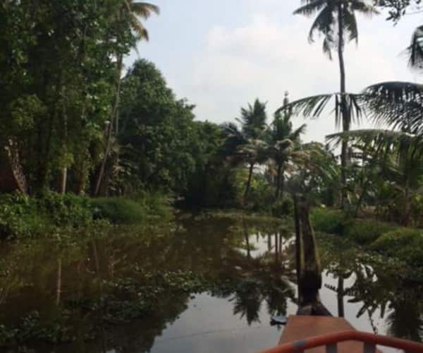 Royal Palace Day Cruise, Alleppey 2