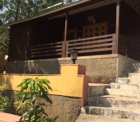 The Space Jungle Retreat, Udaipur 5