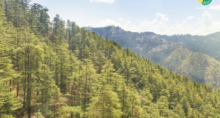 Well-furnished family room in a bucolic location, Shimla 4