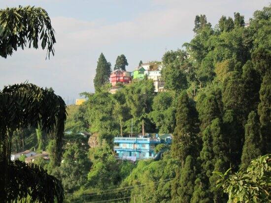 Singell Homestay, Kurseong 3