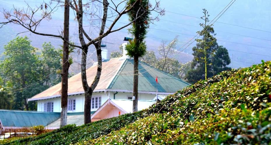 Tumsong Tea Retreat, Darjeeling 2