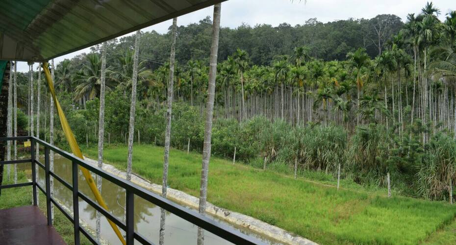 Exotica holidays, Wayanad 3