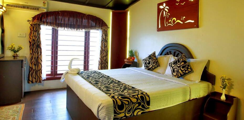 Ecoboat 5 Luxury, Alleppey 2