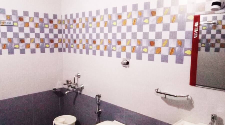 Shankar Falls Homestay, Chikmaglur 4