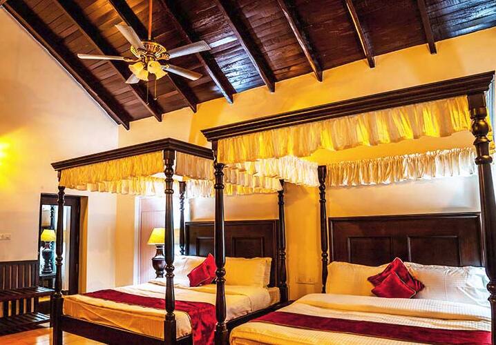 Pavanaganga Homestay, Chikmaglur 4