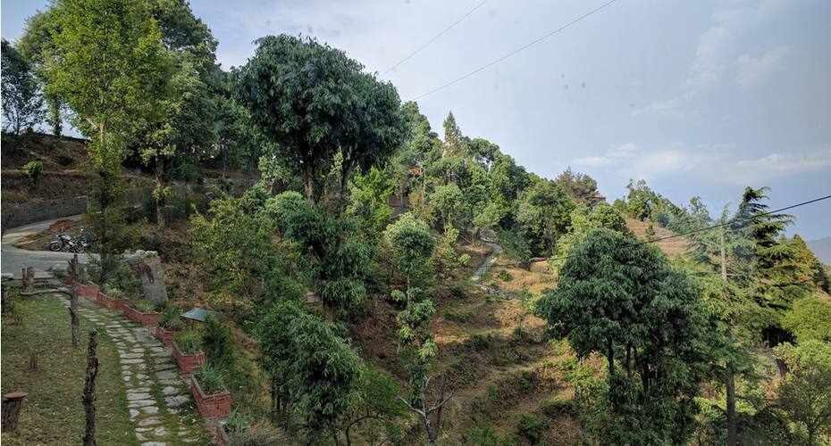 Way Wood Wind Lodge, Mukteshwar 4