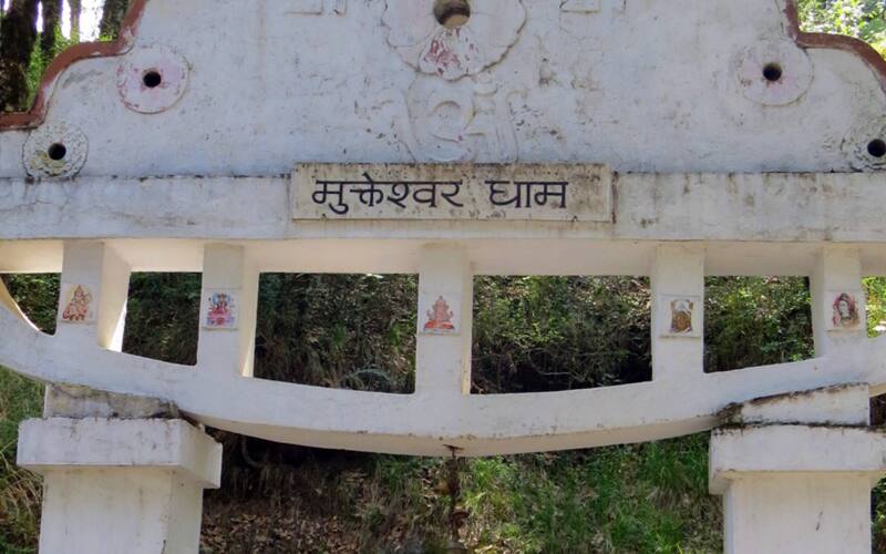 Mukteshwar Oak Essence, Mukteshwar 2