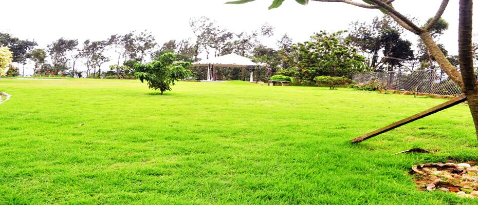 Abella Homestay, Chikmaglur 4
