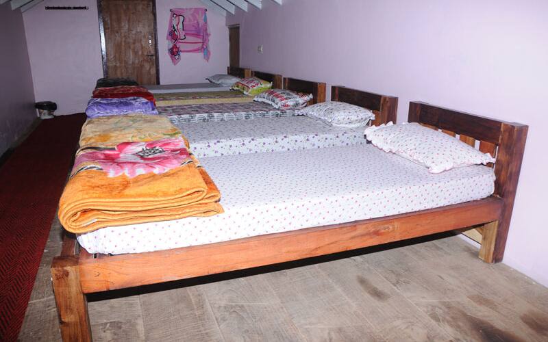 Estate View Homestay, Chikmaglur 5
