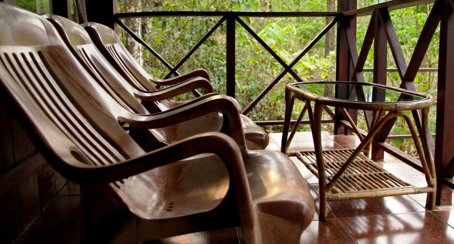 Jungle Retreat, Wayanad 4