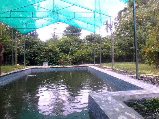 Glendale Holiday Homes, Wayanad 4
