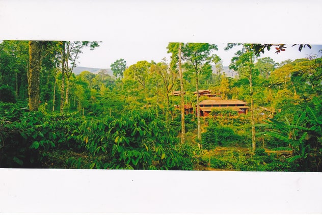 Honey Valley Homestay, Madikeri 3