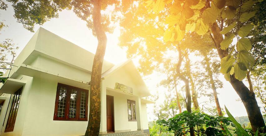 Peters Coffee Creek, Wayanad 5
