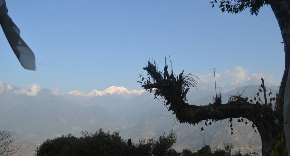 Dokohthang Homestay, Gyalshing 4