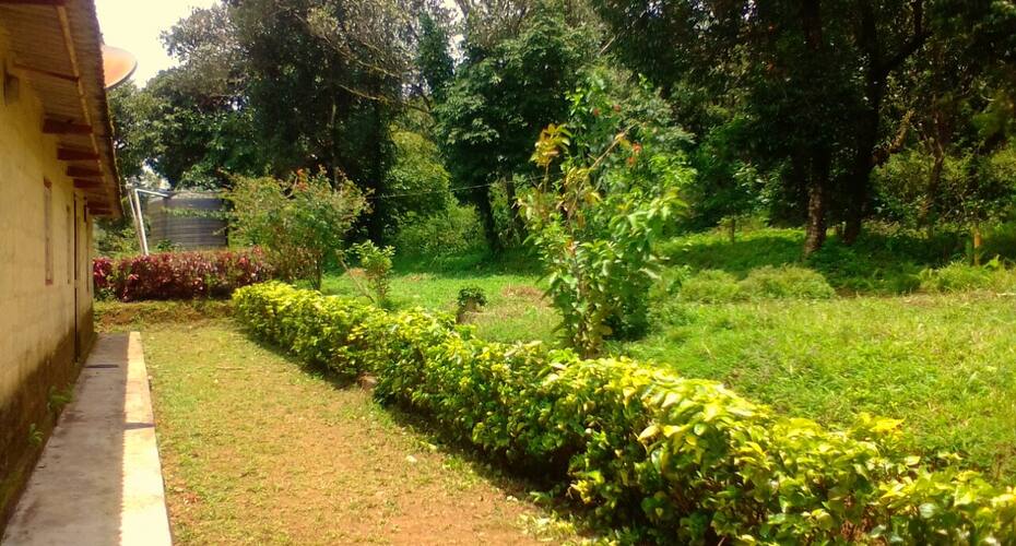 Cloud Bowl Homestay, Madikeri 3
