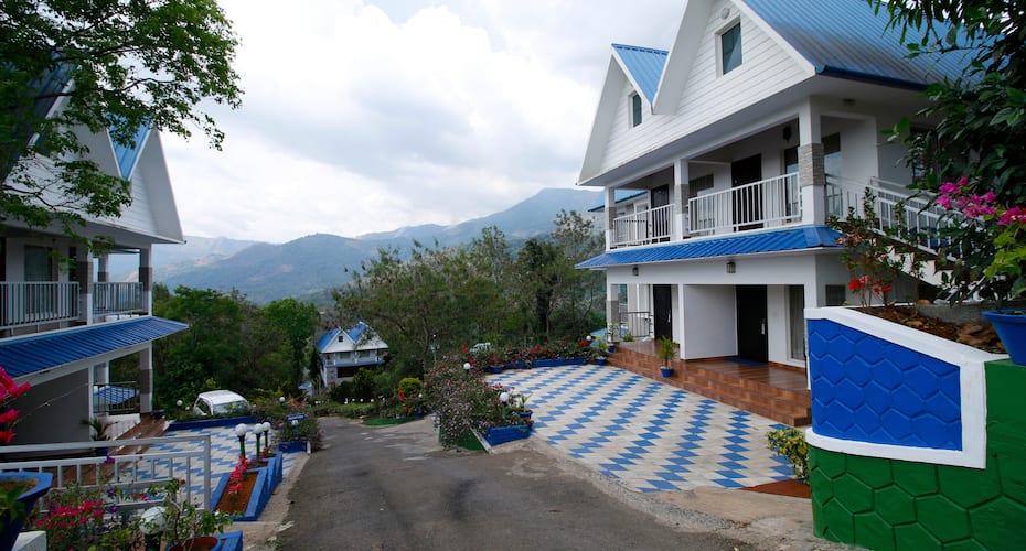 Eterno Camellia and Eletteria, Munnar 3