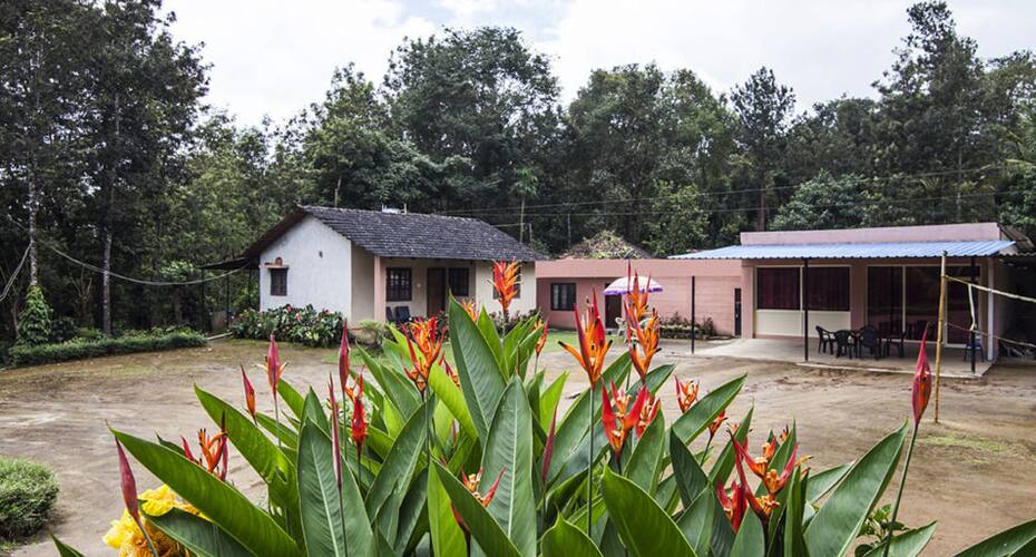 Jayanth Homestay, Chikmaglur 1
