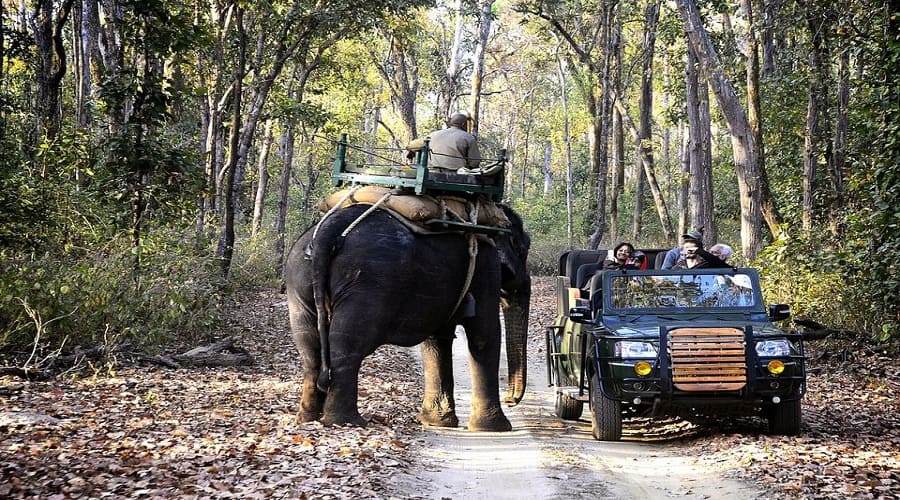 Sun Resort Bandhavgarh by Royal Collection, Bandhavgarh 2