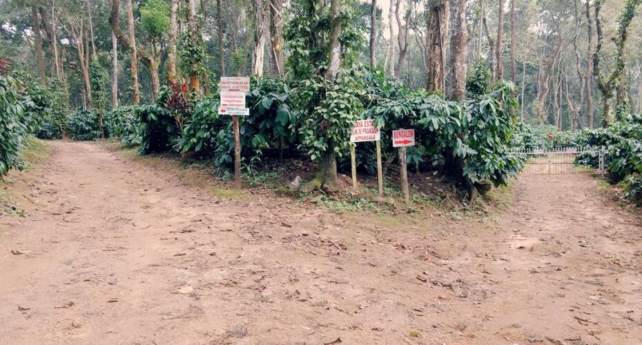 Prakruthi Estate Stay (ashu Homestay), Madikeri 2