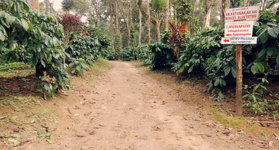 Prakruthi Estate Stay (ashu Homestay), Madikeri 3