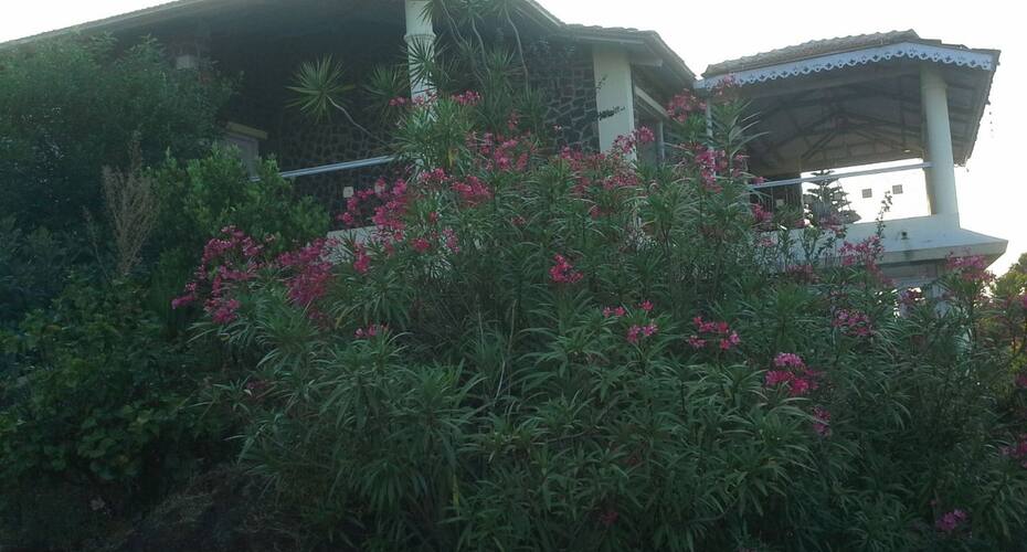 Eagle's Nest - Eagle's Nest, Panchgani 3