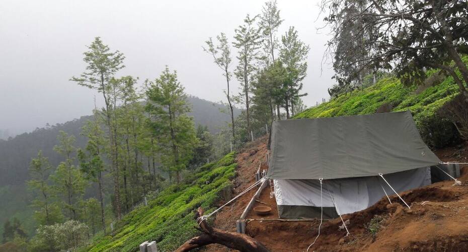 Janardan Tea Resort Ooty, Ooty 3