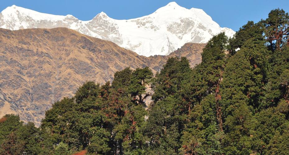 Himalayan Eco Lodge, Chopta 5
