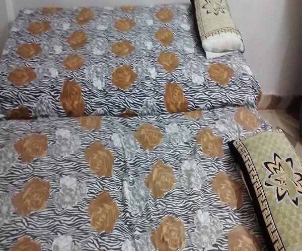 Krishna Guest House, Bhopal 4